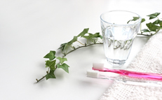 主な健康相談内容